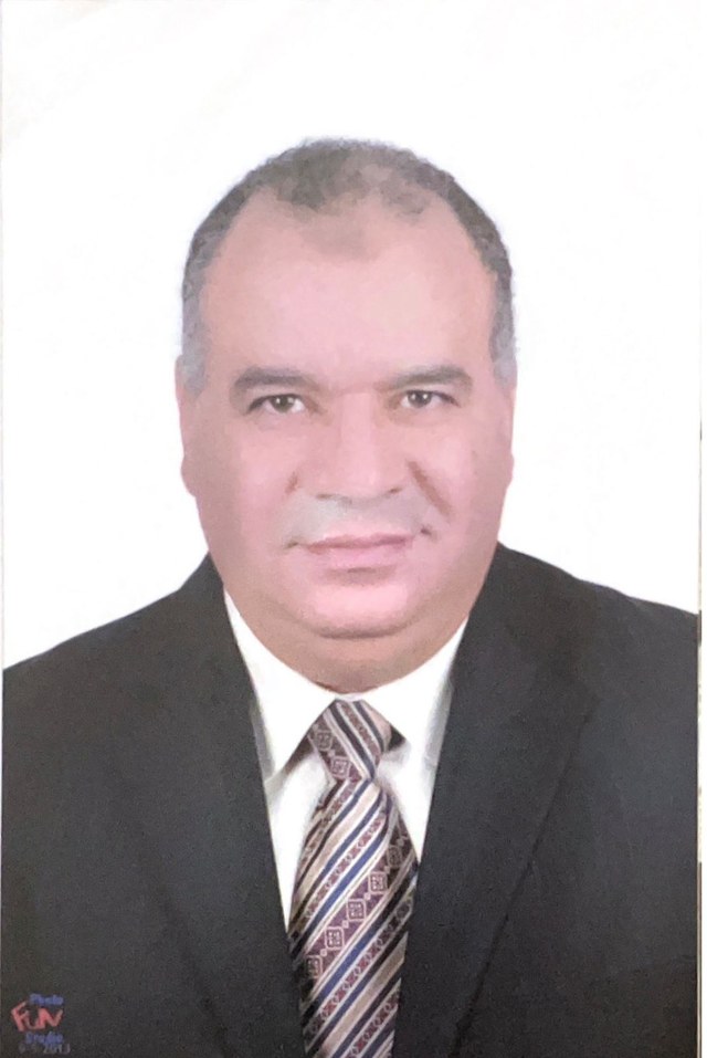 Prof. Dr. Eng. Ahmed Soliman