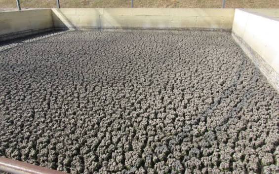 Dried sewage sludge prepared as alternative fuel